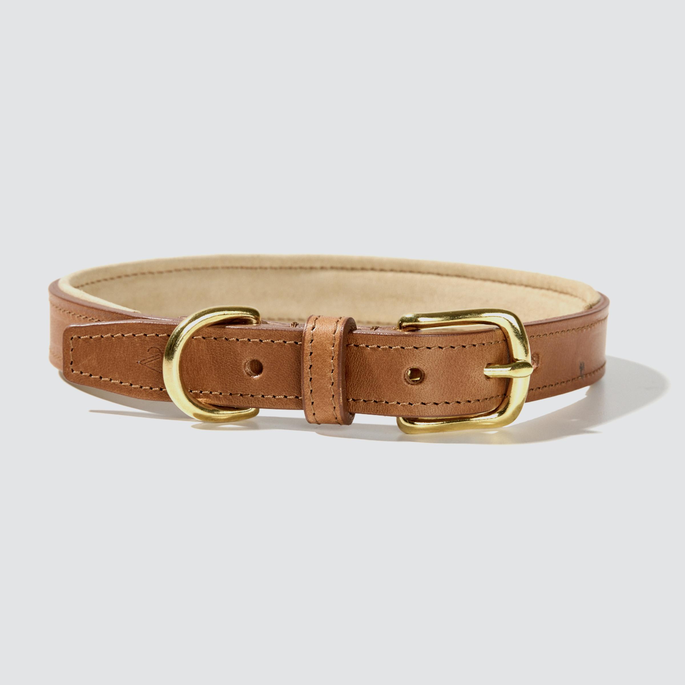 Padded Leather Dog Collar – Tan