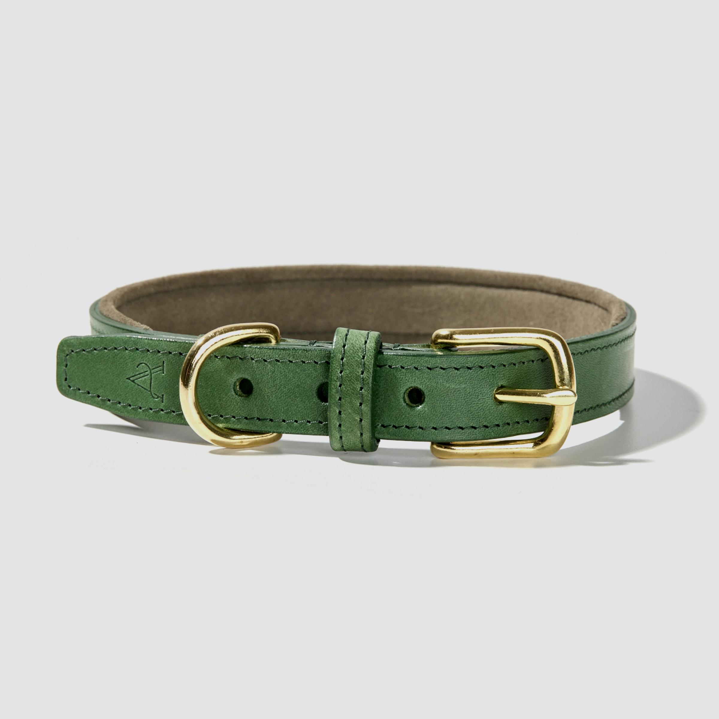 Padded Leather Dog Collar – Green