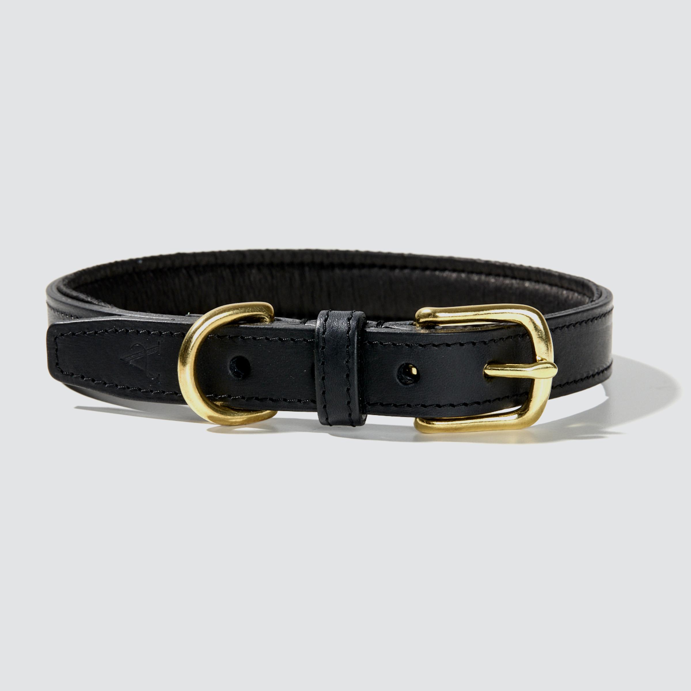 Padded Dog Collar in Black
