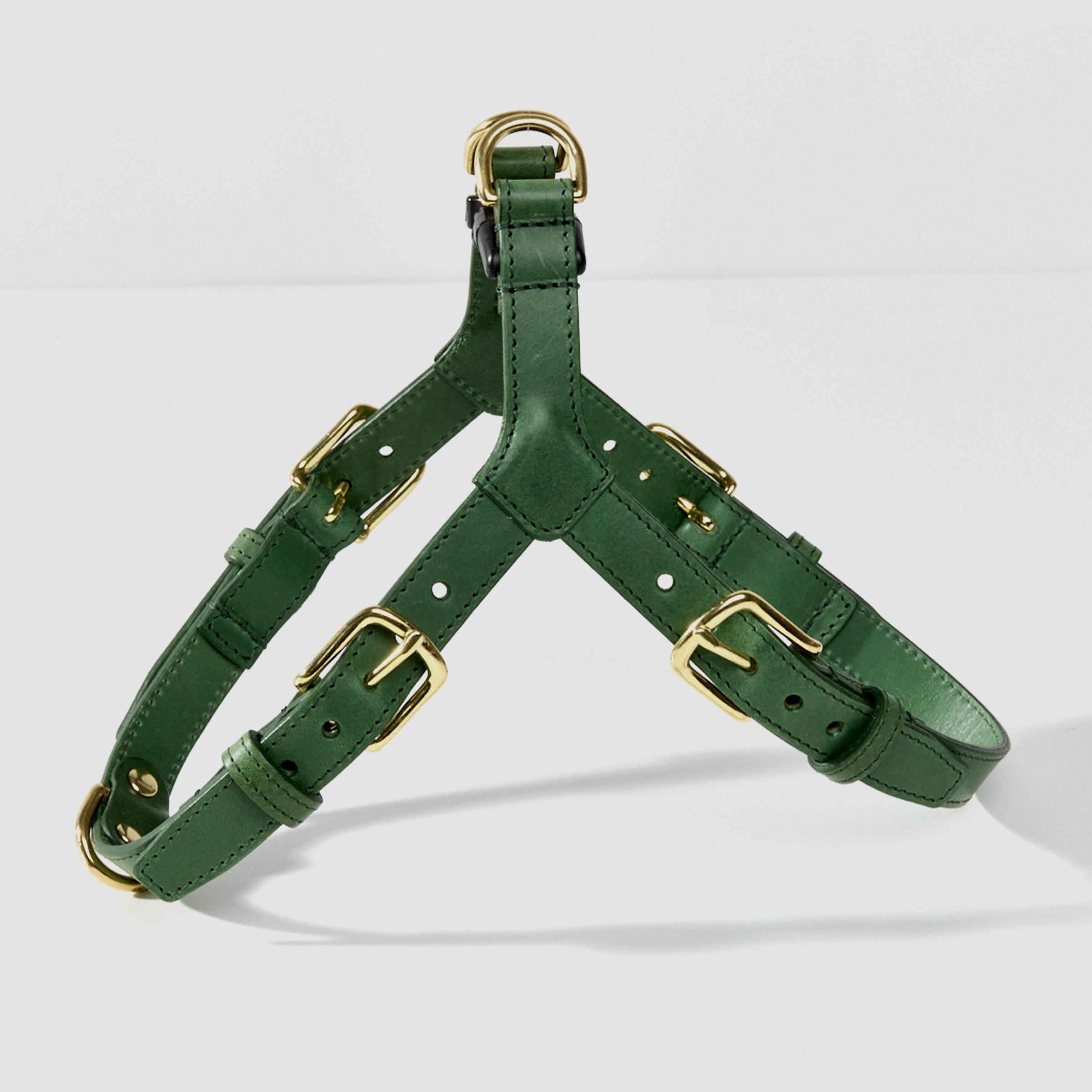 One-click Leather Dog Harness in Green