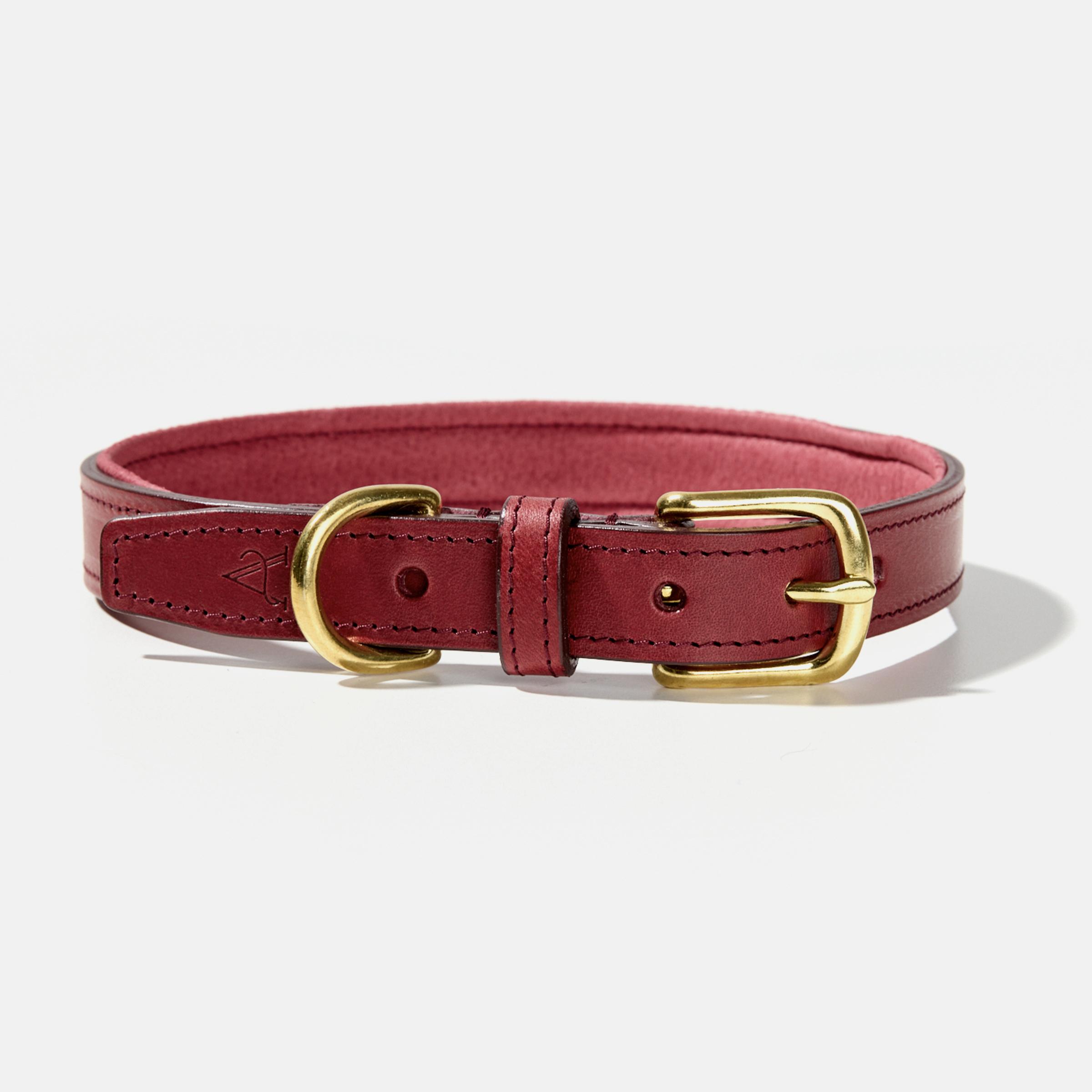 Padded Leather Dog Collar – Red