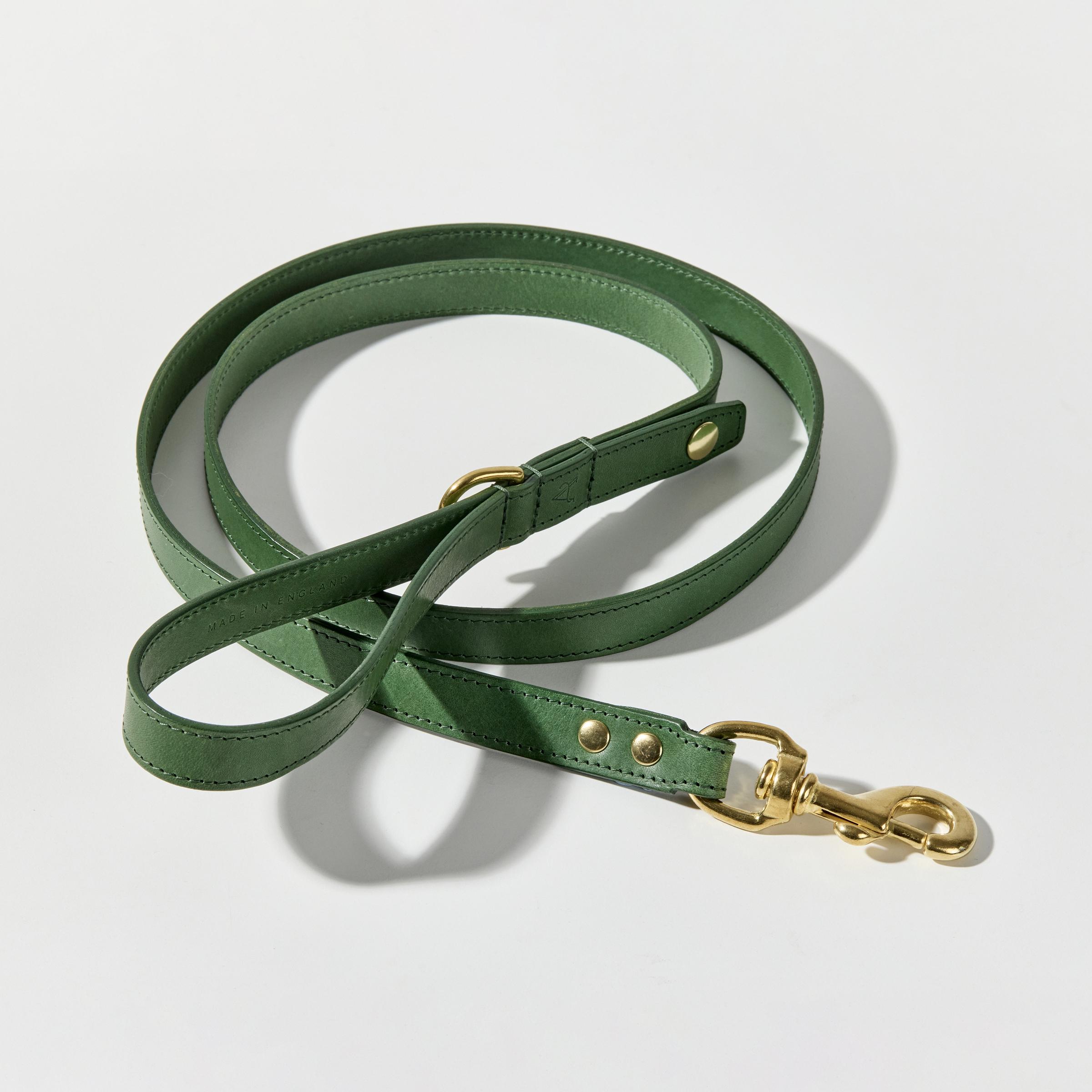 Leather Dog Leash – Green